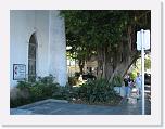 20080202 Key West 107 (Medium) * 800 x 600 * (86KB)